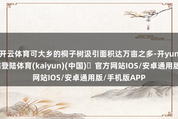 开云体育可大乡的桐子树汲引面积达万亩之多-开yun体育官方网站登陆体育(kaiyun)(中国)❥官方网站IOS/安卓通用版/手机版APP
