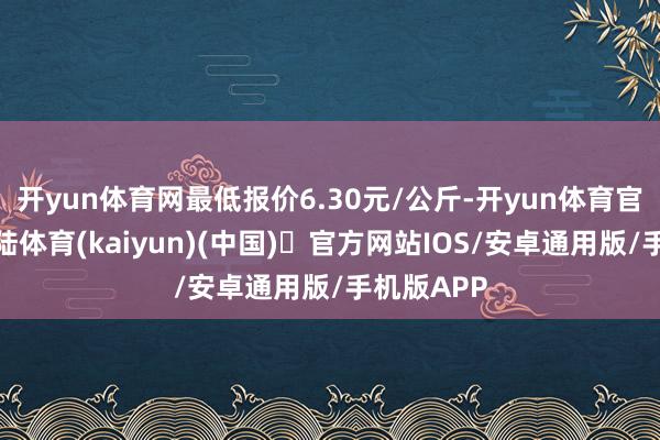 开yun体育网最低报价6.30元/公斤-开yun体育官方网站登陆体育(kaiyun)(中国)❥官方网站IOS/安卓通用版/手机版APP