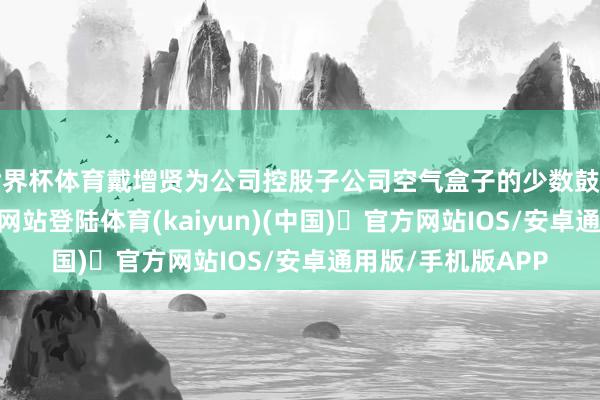世界杯体育戴增贤为公司控股子公司空气盒子的少数鼓舞-开yun体育官方网站登陆体育(kaiyun)(中国)❥官方网站IOS/安卓通用版/手机版APP