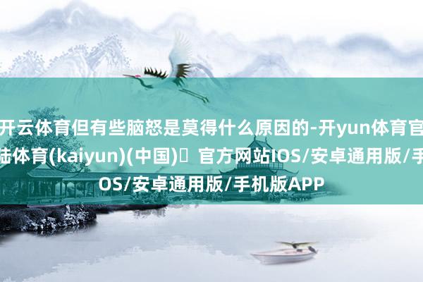 开云体育但有些脑怒是莫得什么原因的-开yun体育官方网站登陆体育(kaiyun)(中国)❥官方网站IOS/安卓通用版/手机版APP